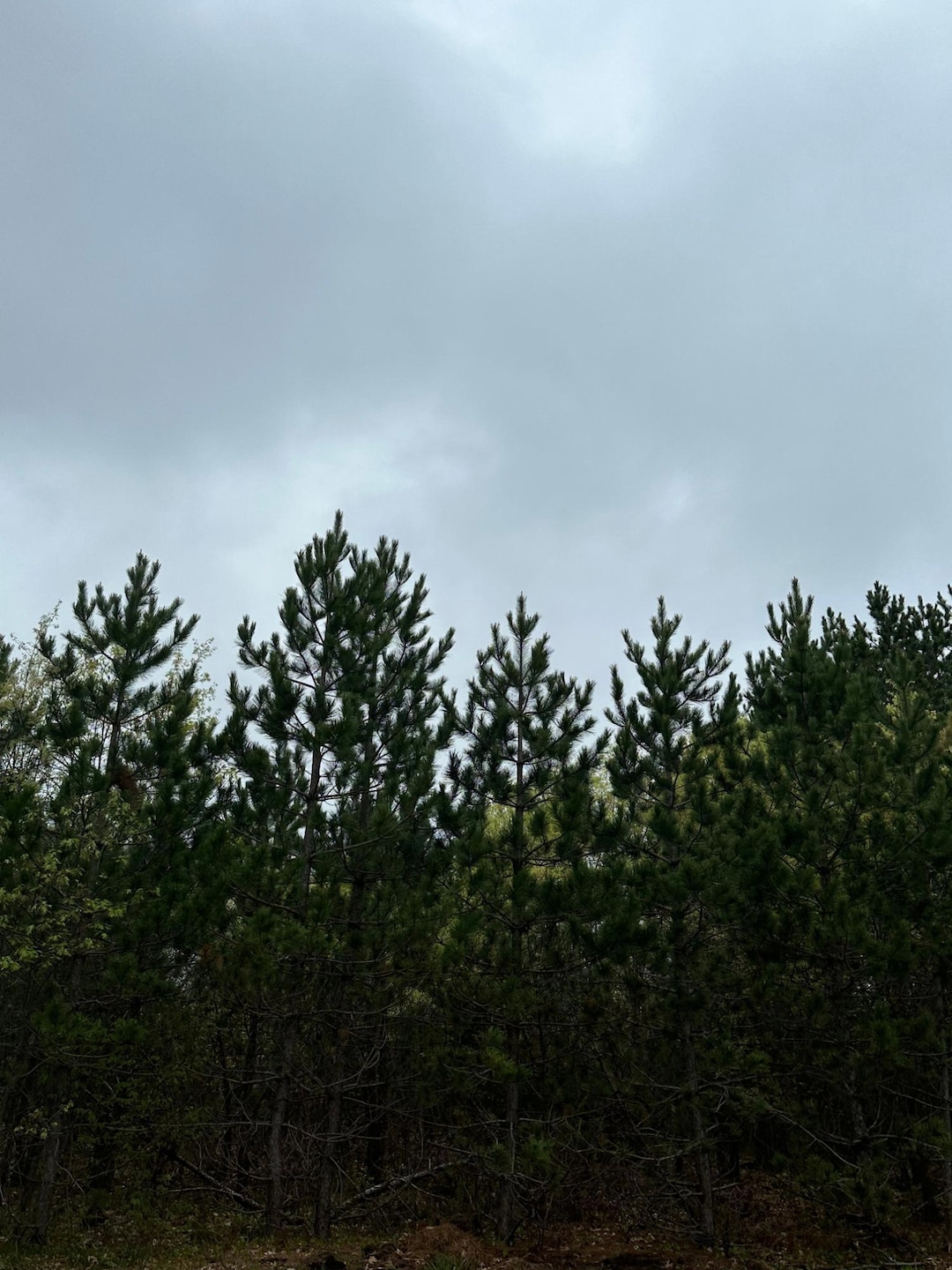 ON Cth Y, Tomahawk, WI 54487 - photo 1