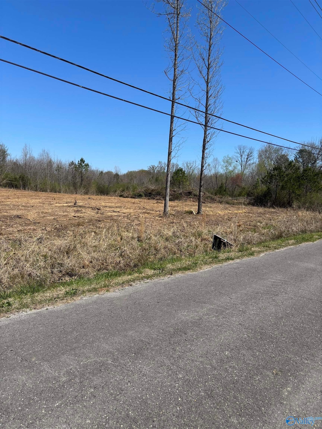 LOT 2 Salem Rd, Hartselle, AL 35640 - photo 1