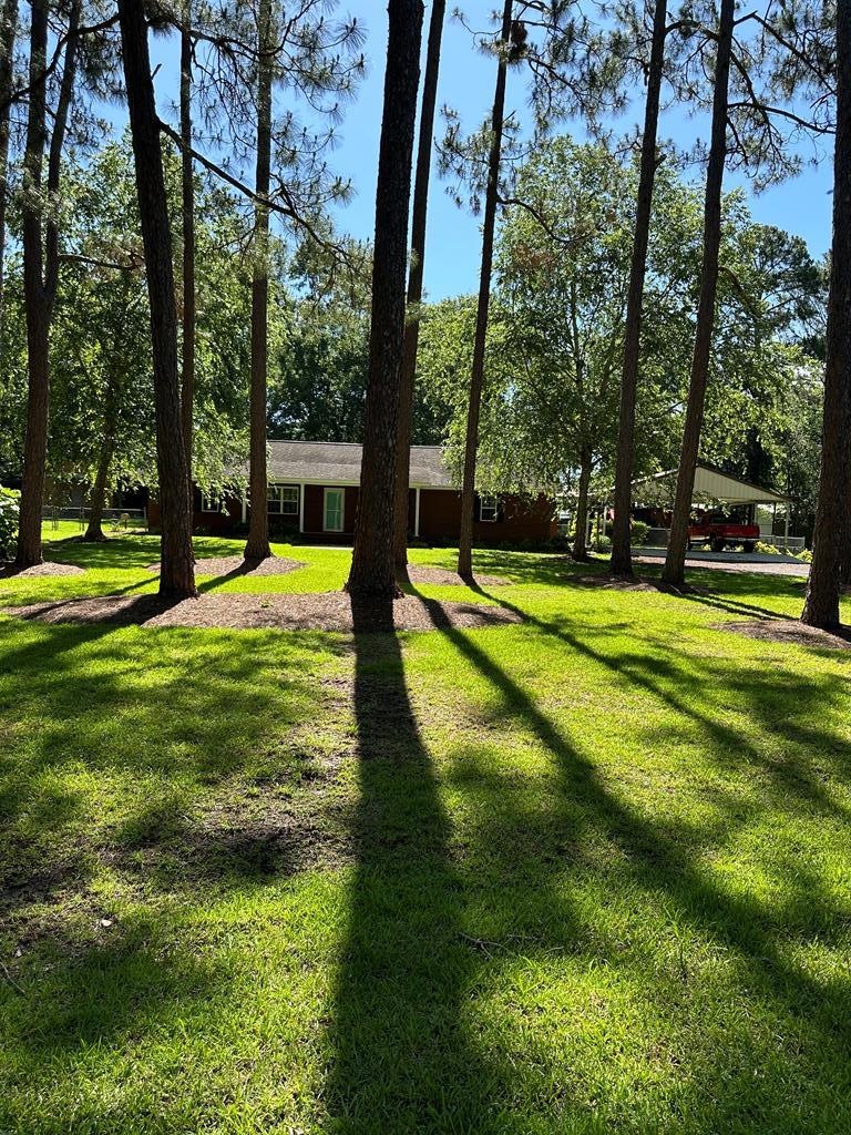 149 Hummingbird Ln, Douglas, GA 31533 - photo 1