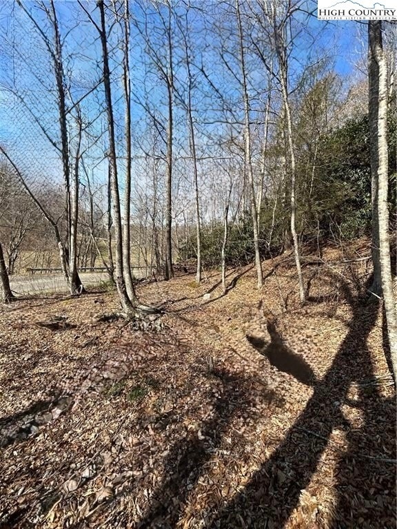 TBD Hwy 88 W, Creston, NC 28615 - photo 1