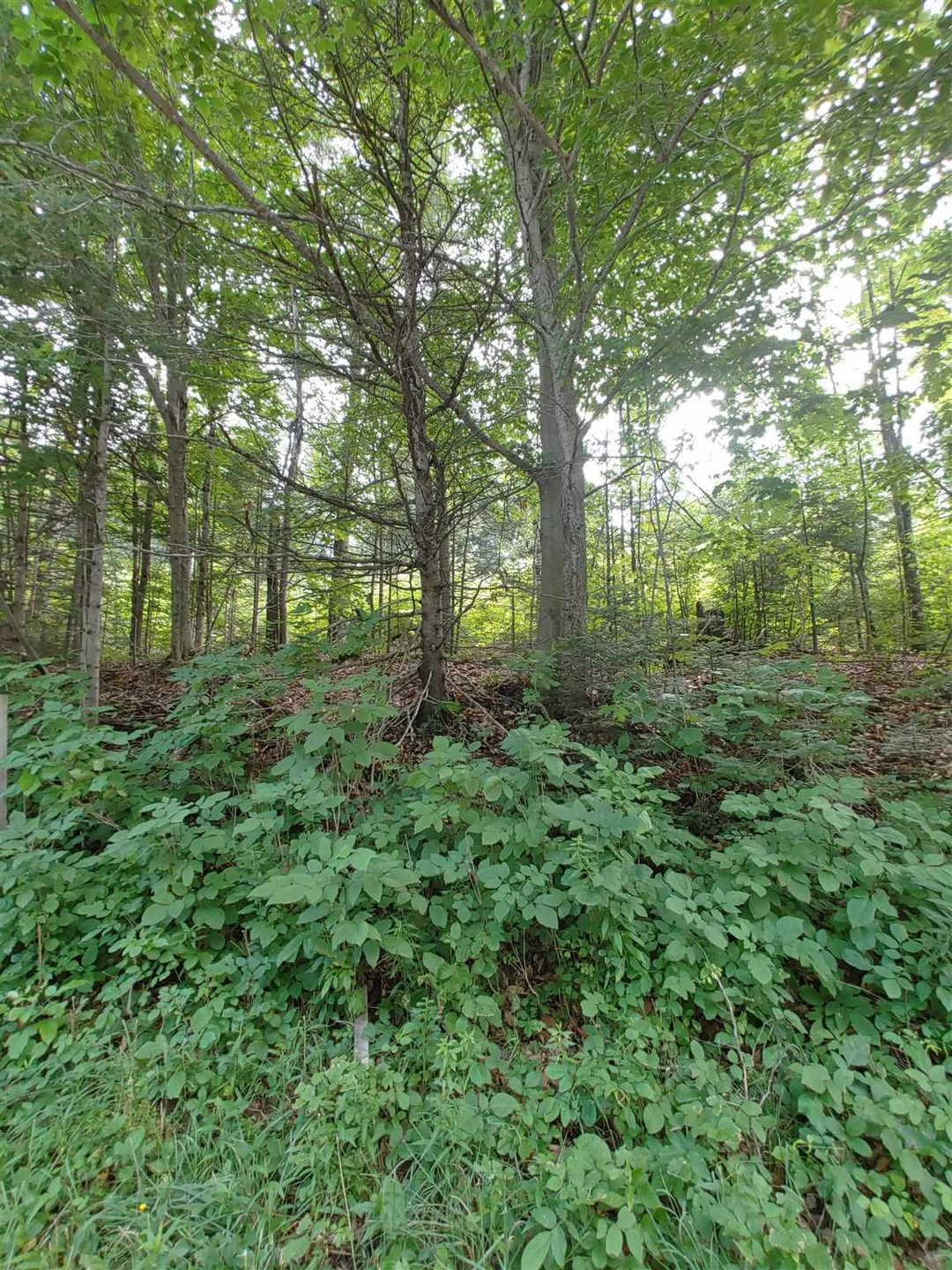 0 U S 302 unit 4873749, East Corinth, VT 05076 - photo 1