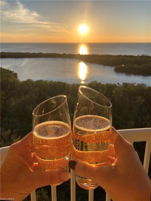 Pending $1,295,000 • Co-Listing Agent