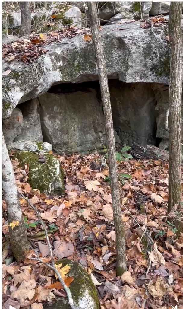 1644 Walker Cove Rd, Sparta, TN 38583 - photo 1