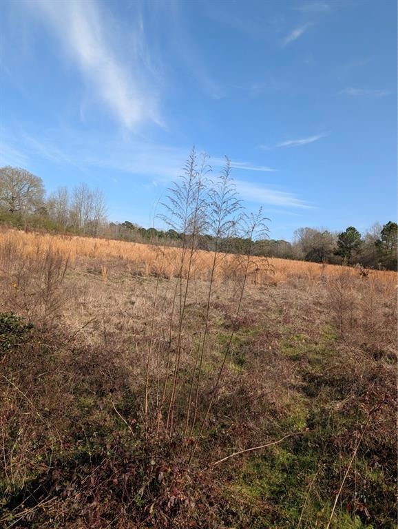 000 Mudline Rd, Eagletown, OK 74734 - photo 1