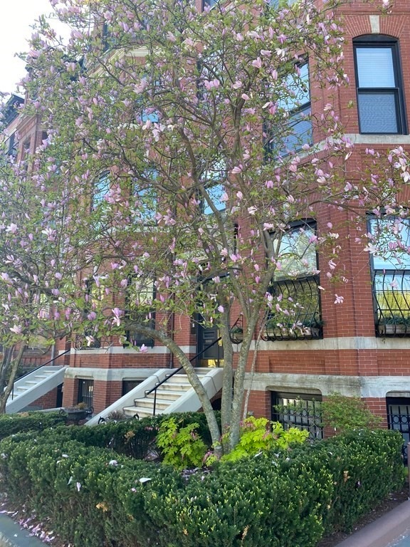 342 Commonwealth Ave unit 9, Boston, MA 02115 - photo 1