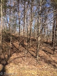 0 Canterbury Trail, Asheboro, NC 27205 - photo 1