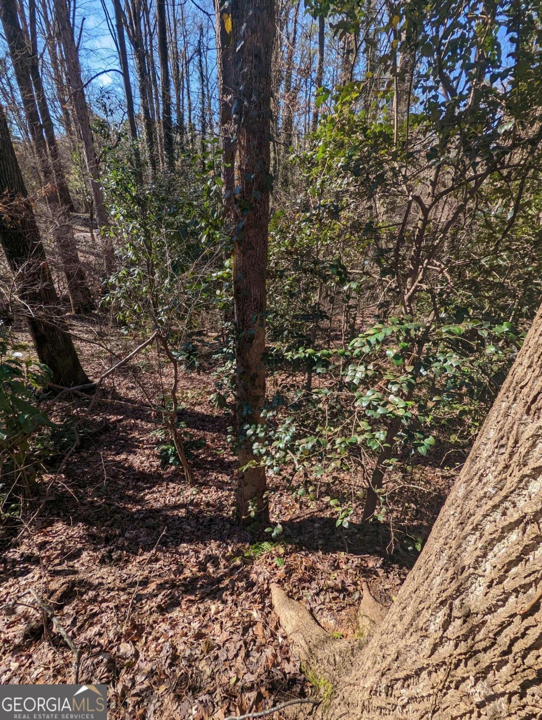 1531 Withmoor Terrace, Mableton, GA 30168 - photo 1