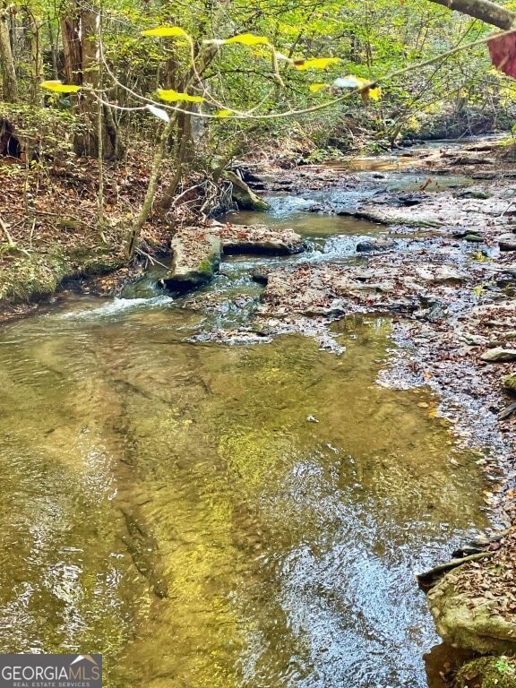 0 E Highway 36 unit 10652570, Jackson, GA 30233 - photo 1