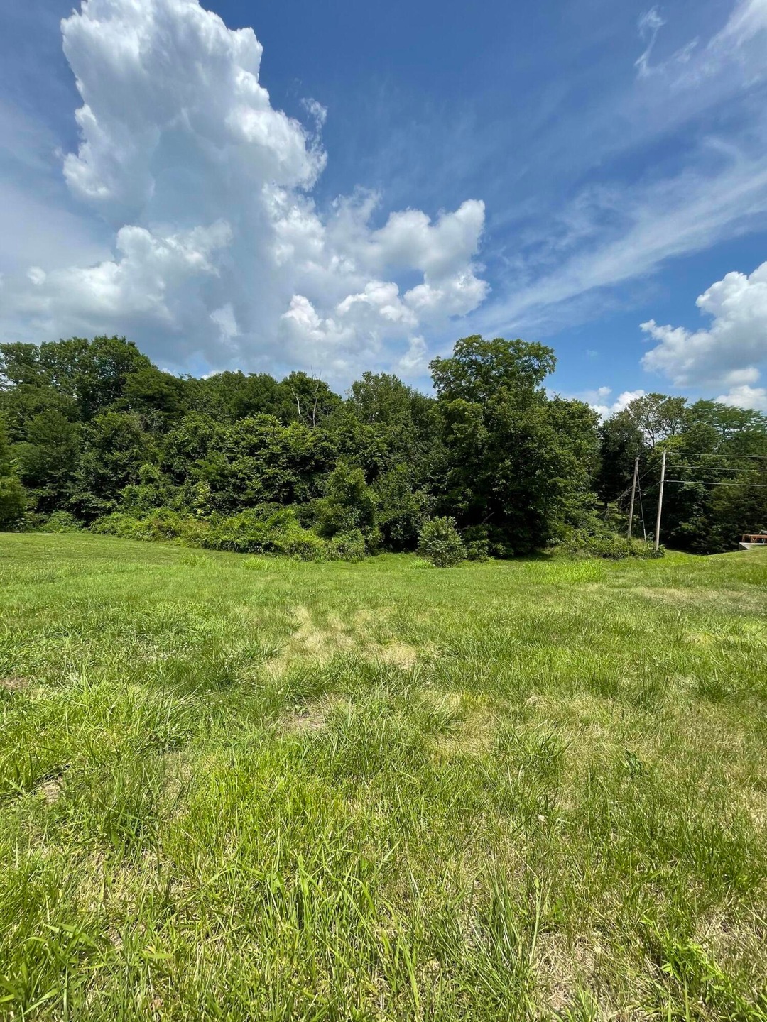 Lot #24 S Peach Brook, Nixa, MO 65714 - photo 1