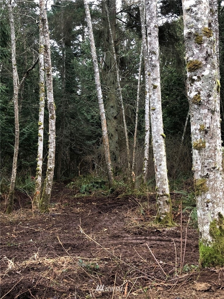 0 Lot 18 Rex St, Point Roberts, WA 98281 - photo 1