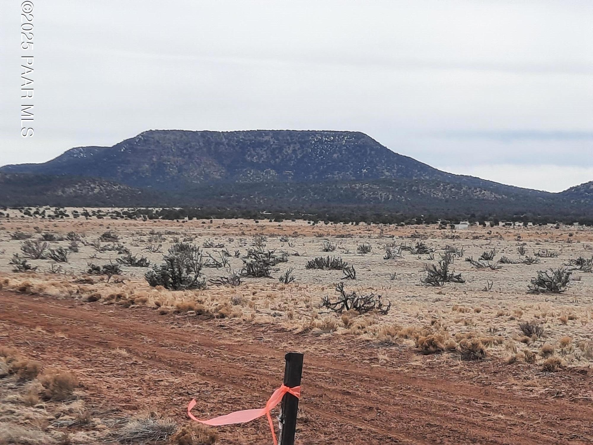 Lot 1104 Rd, Seligman, AZ 86337 - photo 1