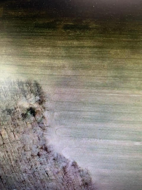 pic 2