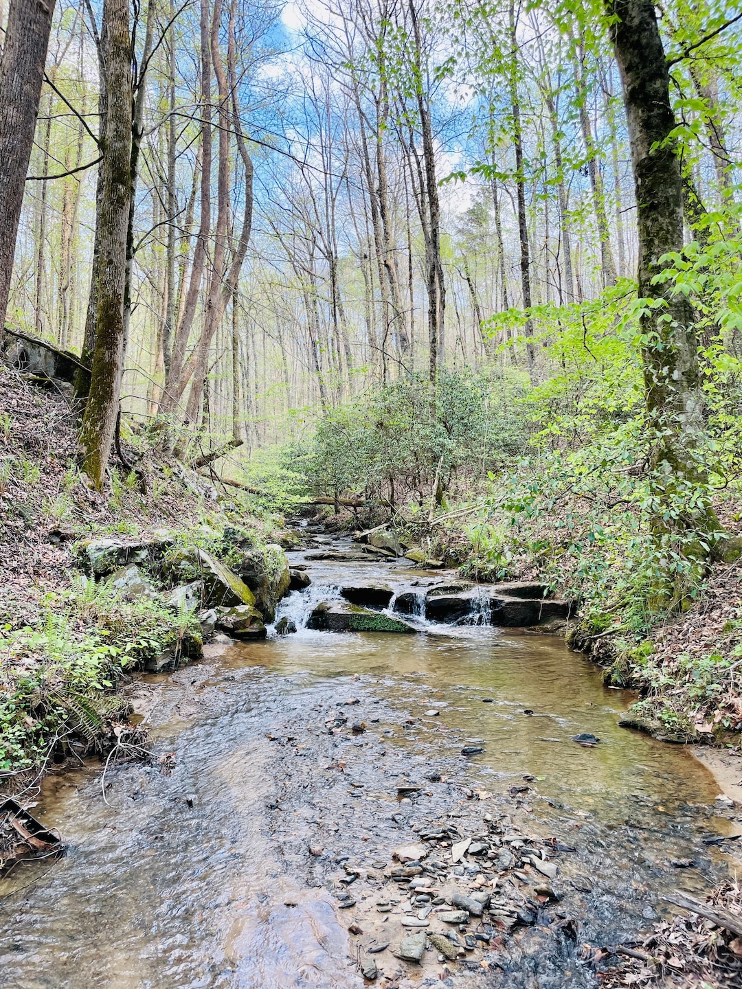 0 Georgia 136, Talking Rock, GA 30175 - photo 1