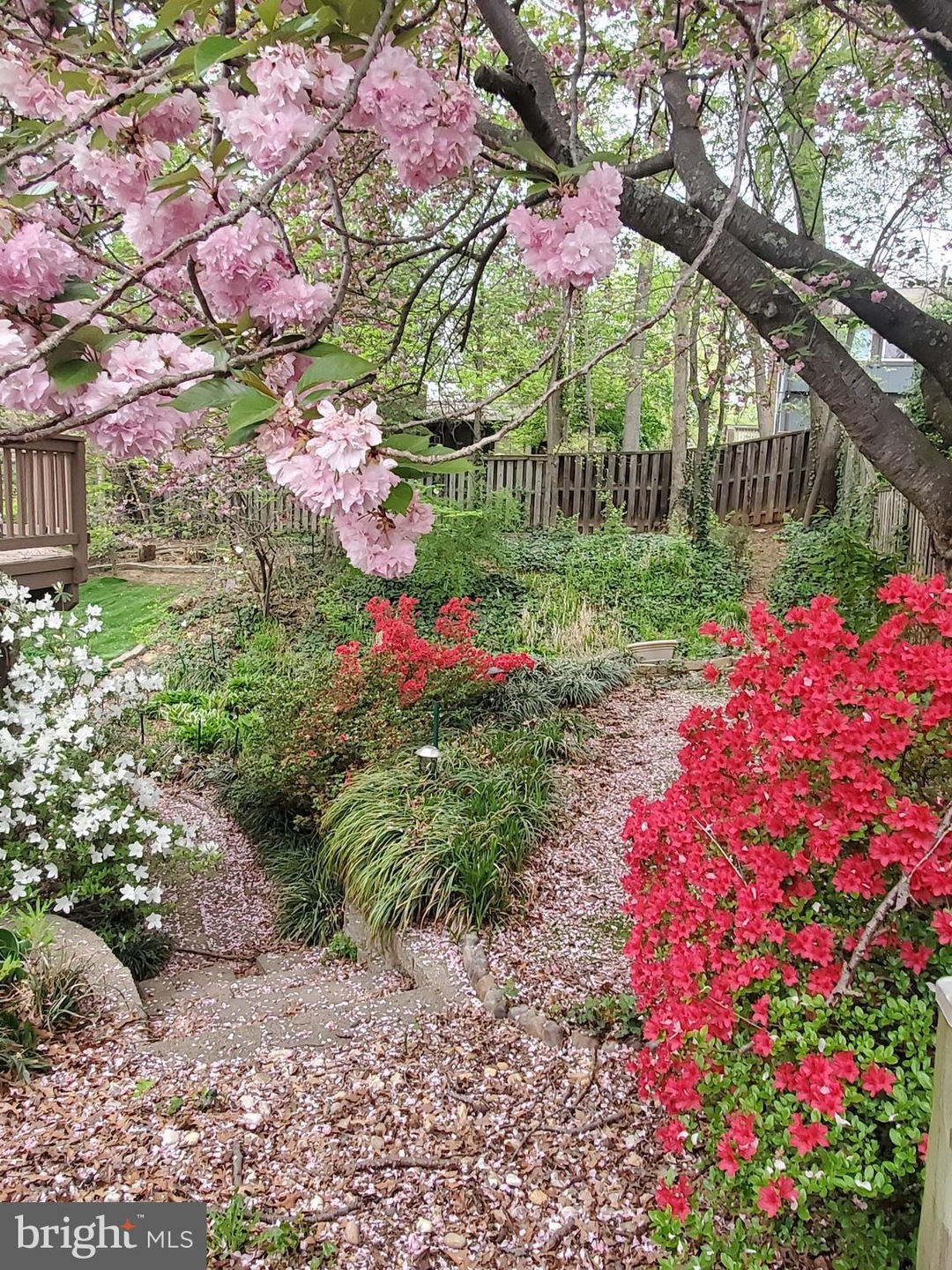 10514 Acacia Ln, Fairfax, VA 22032 - photo 1