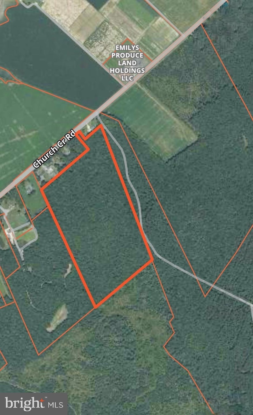 Sika, Whitetail & Tu Church Creek Rd, Cambridge, MD 21613 - photo 1