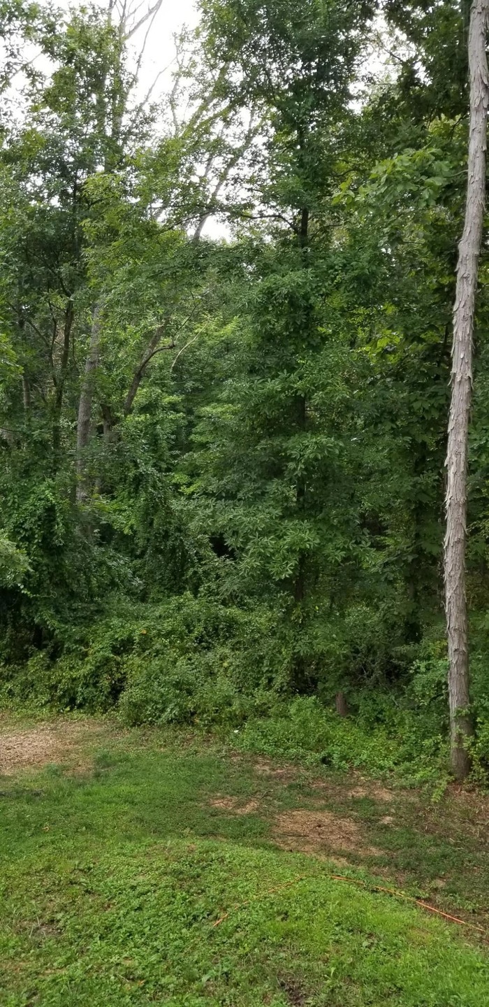 9082 Somerset Rd, Thornville, OH 43076 - photo 1