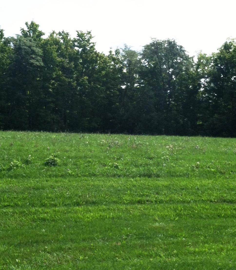 6901 Harriott Rd, Powell, OH 43065 - photo 1