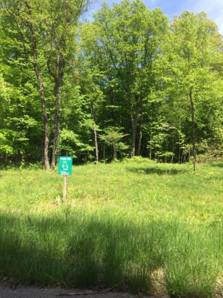 20180606173255340839000000-o