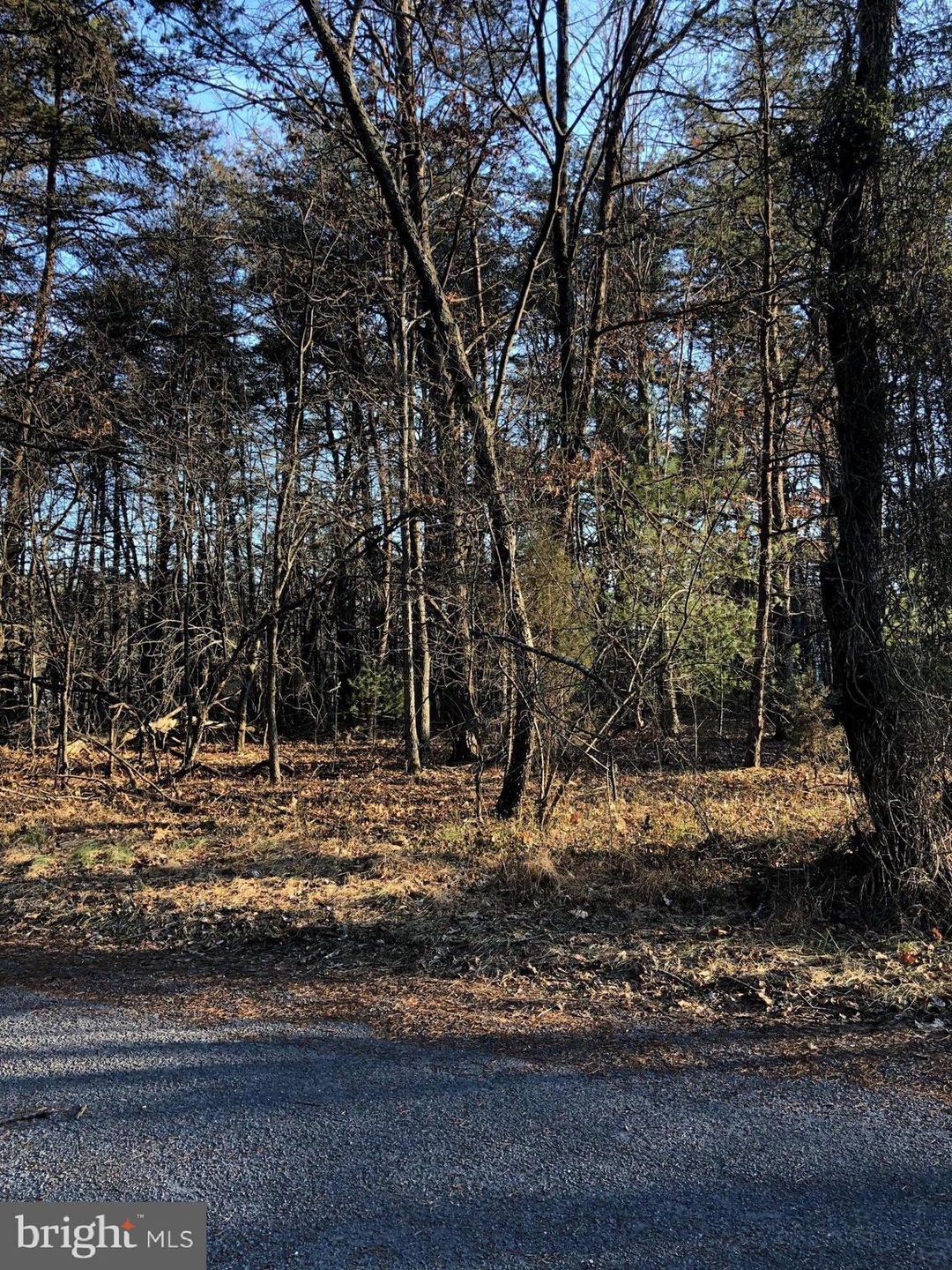 0 Longstreet Rd, Basye, VA 22810 - photo 1