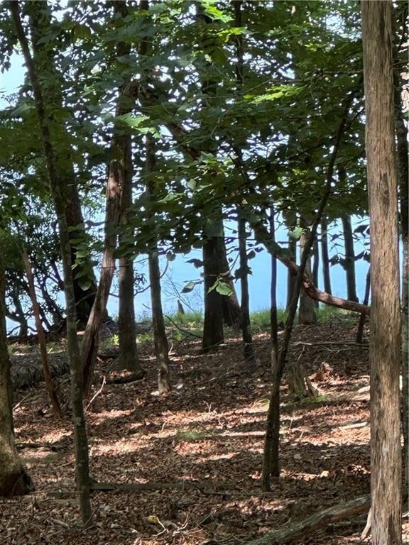 Sold $220,000 • Co-Listing Agent