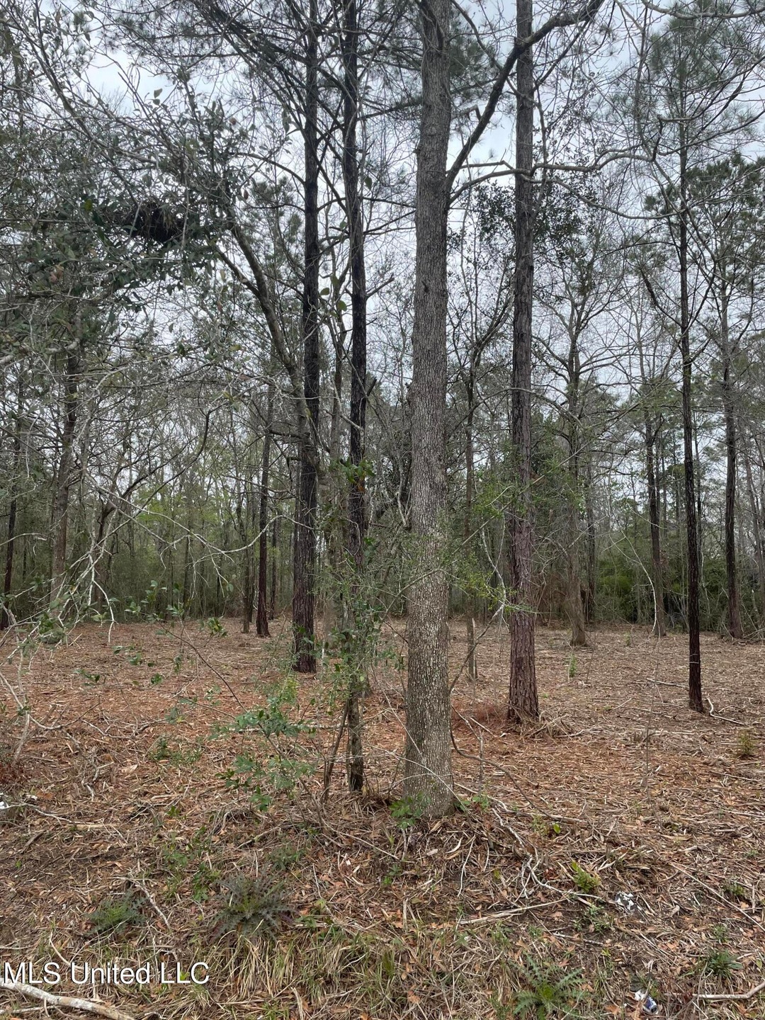 0 Christy Cove unit 4011670, Moss Point, MS 39562 - photo 1