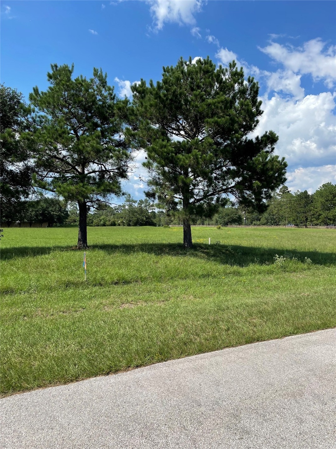 300 Meadow Lake, Magnolia, TX 77355 - photo 1