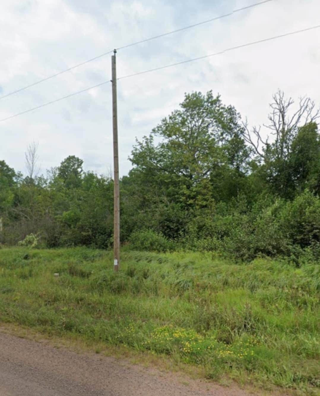 74095 Rutabaga Rd, New Dosey Township, MN 55072 - photo 1