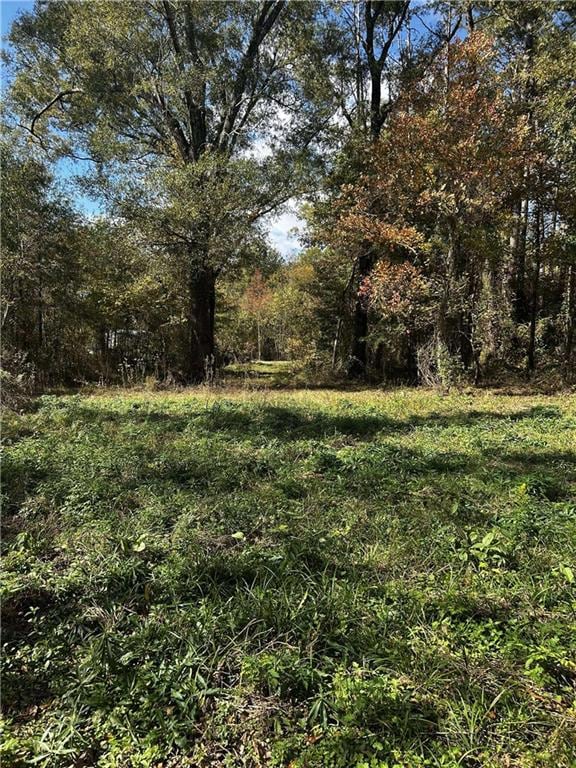 For Sale $74,900 • Co-Listing Agent