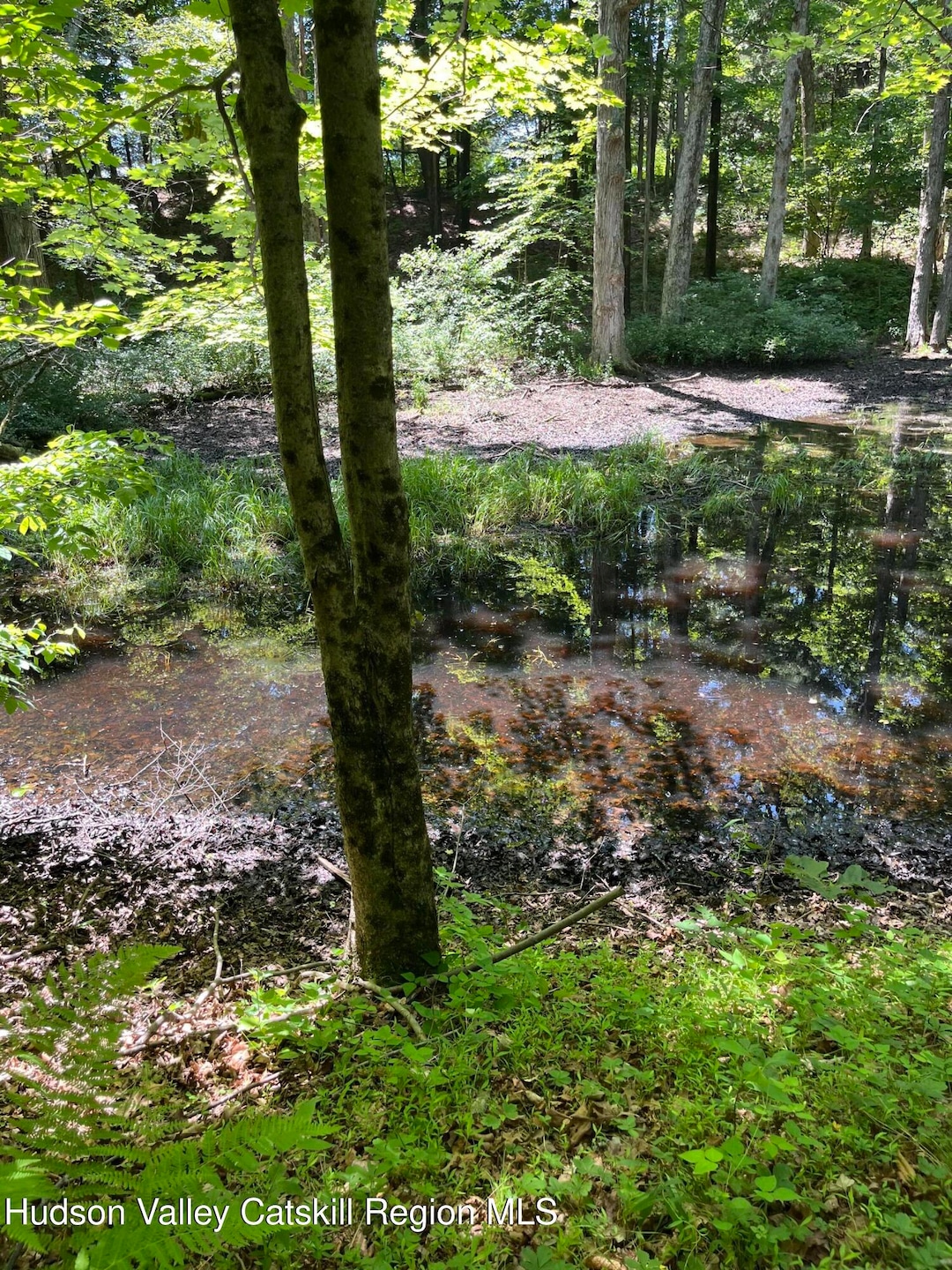 1104 Cold Spring Rd, Red Hook, NY 12571 - photo 1