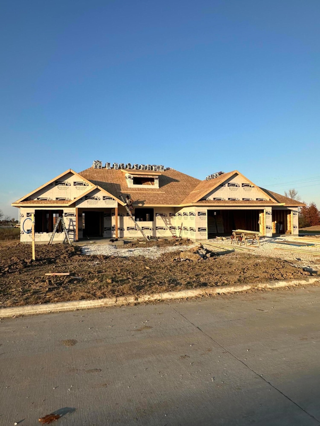 407 W Jaxon St, Sturgeon, MO 65284 - photo 1