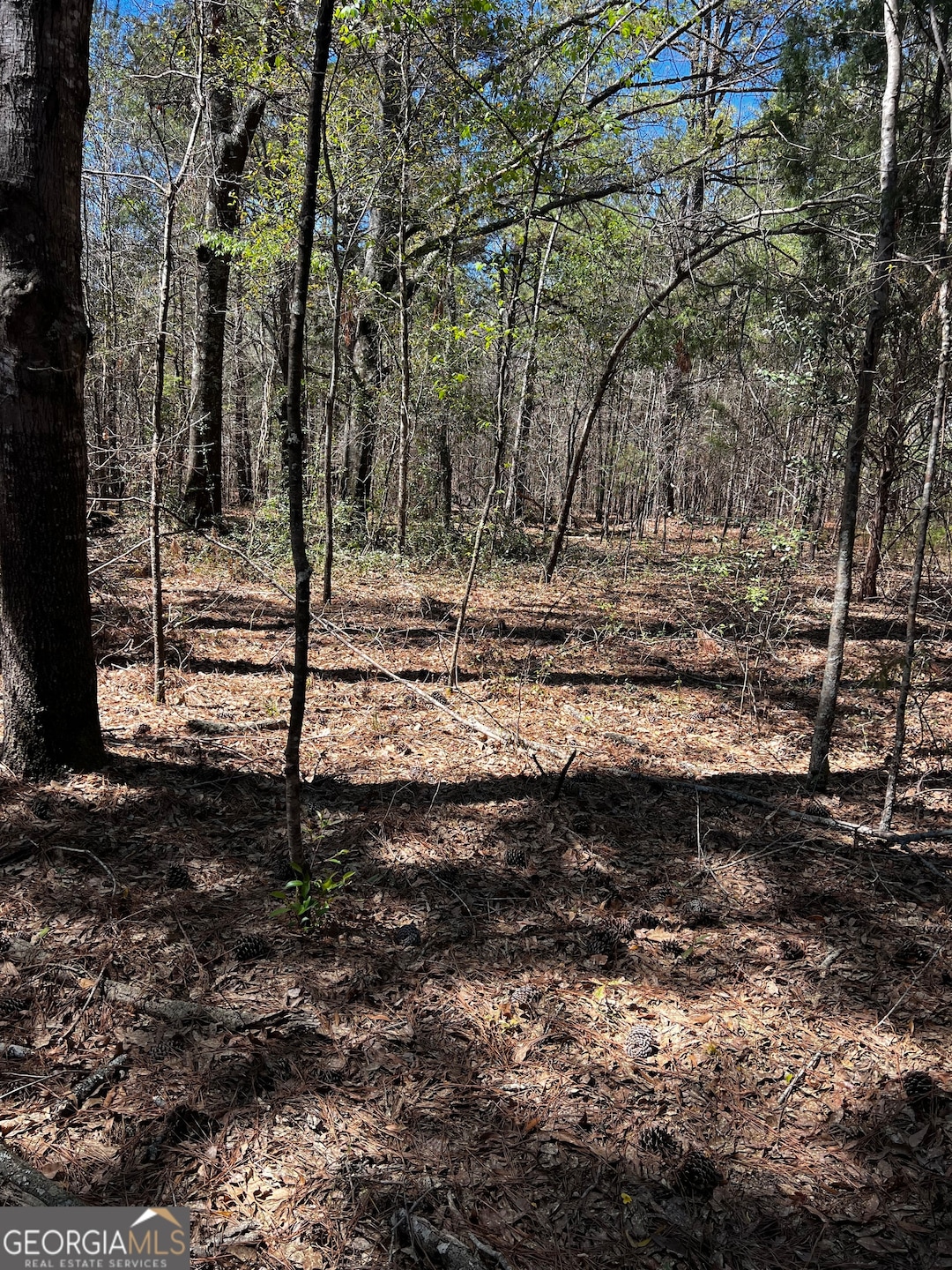 2000 Buckeye Rd, Tennille, GA 31089 - photo 1