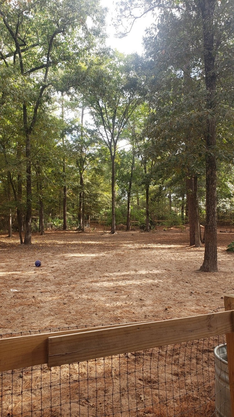 38618 Angel Oaks Dr, Magnolia, TX 77355 - photo 1