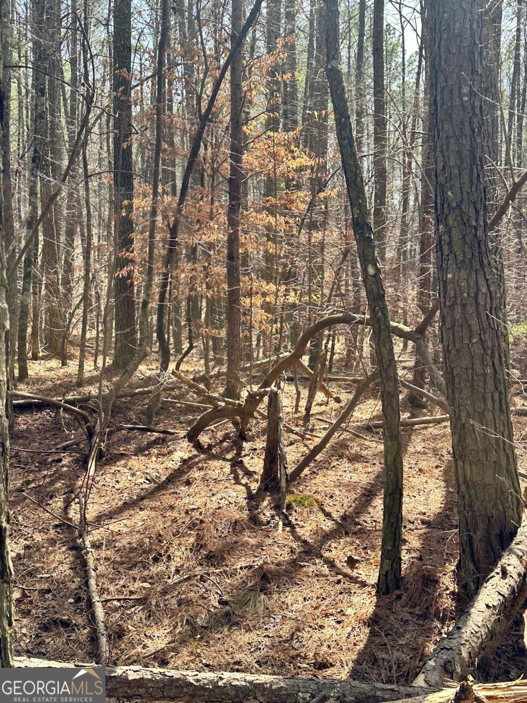 0 Autry Rd SW unit 10489984, Plainville, GA 30733 - photo 1