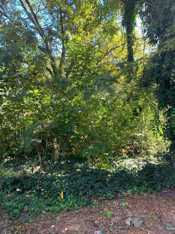 30 Morgan St, Buford, GA 30518 - photo 1