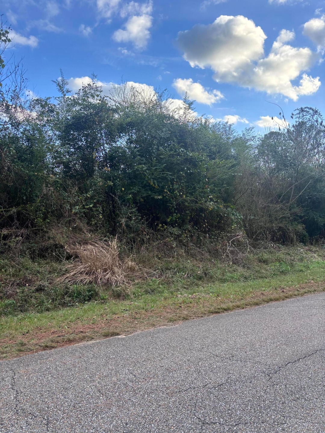 00 Phillips Rd, Sumrall, MS 39482 - photo 1