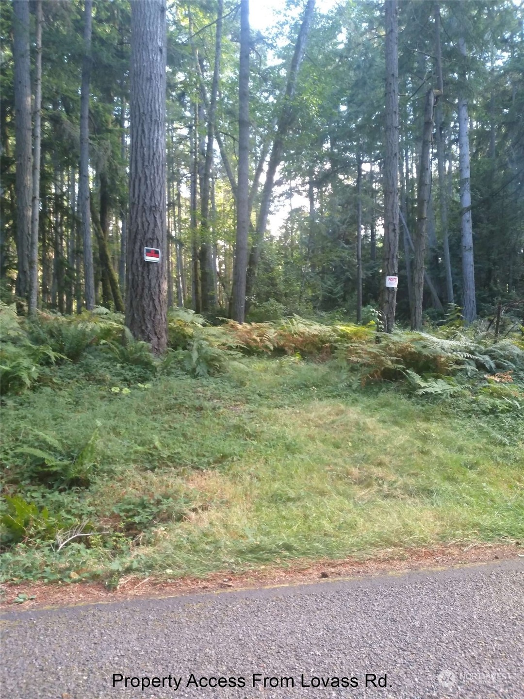 12618 Lovass Rd, Anderson Island, WA 98303 - photo 1