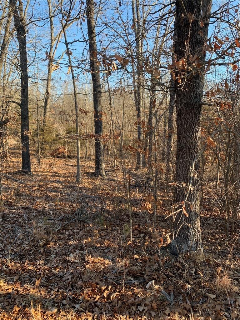 Very nice buildable lot, gentle slope
