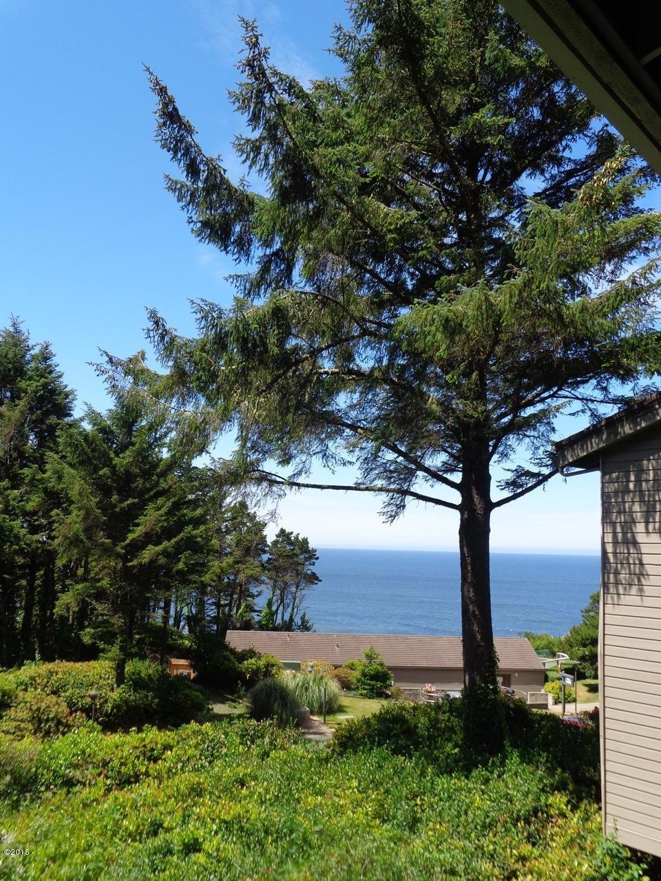 View from deck