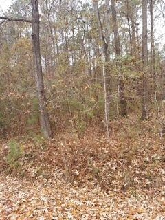 Lot 206 Prices Bridge Ln, Walterboro, SC 29488 - photo 1