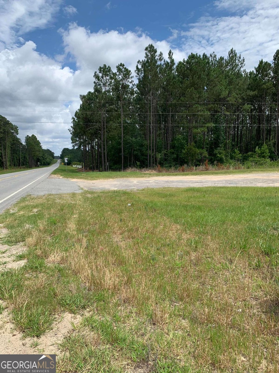 0 Blackshear Hwy unit 10238883, Baxley, GA 31513 - photo 1