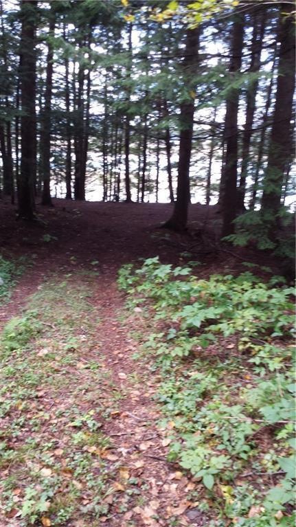Camp road leading to the Kennebec...
