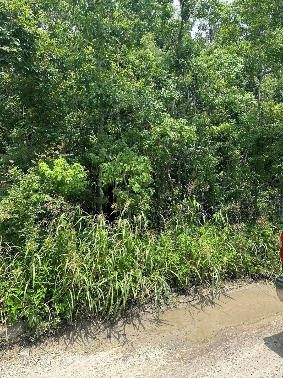1 acre 0 Hwy 146 N