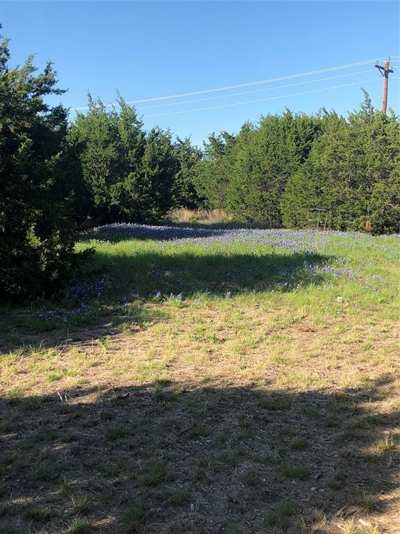 36008 Cedar View Dr, Whitney, TX 76692 - photo 1