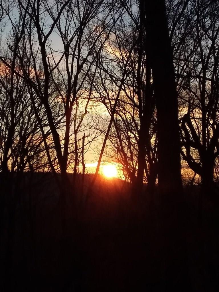 167 Red Bud Trail, West Fork, AR 72774 - photo 1