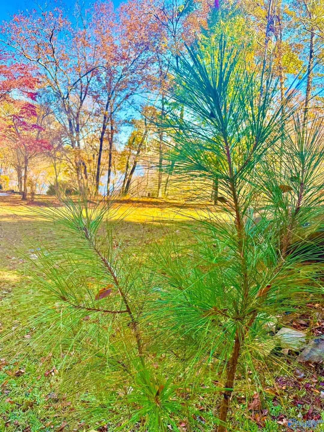 .71 Acres County Road 129, Bremen, AL 35033 - photo 1