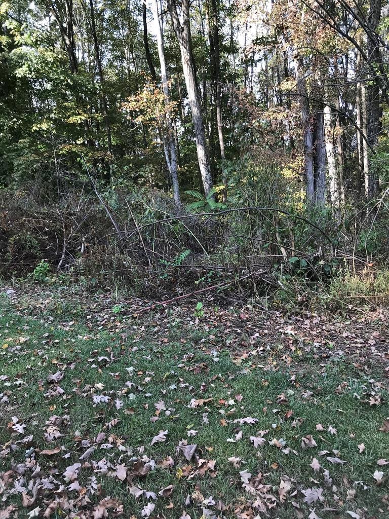 For Sale $25,000