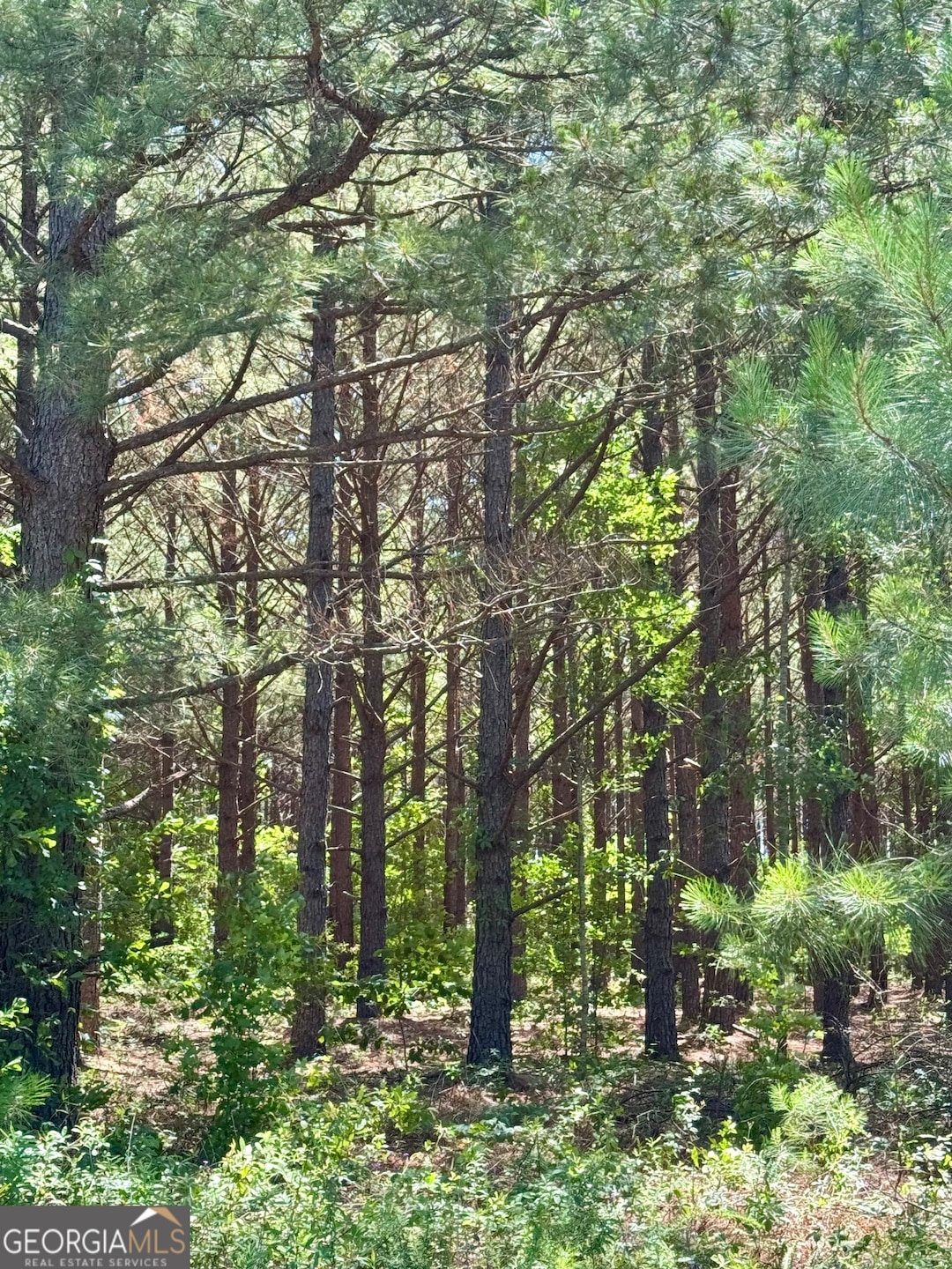 0 Sheppard Rd unit 10545353, Tennille, GA 31089 - photo 1