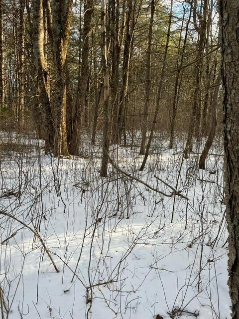 Lots 1 & 2 Eden Farm Rd, Pownal, ME 04069 - photo 1