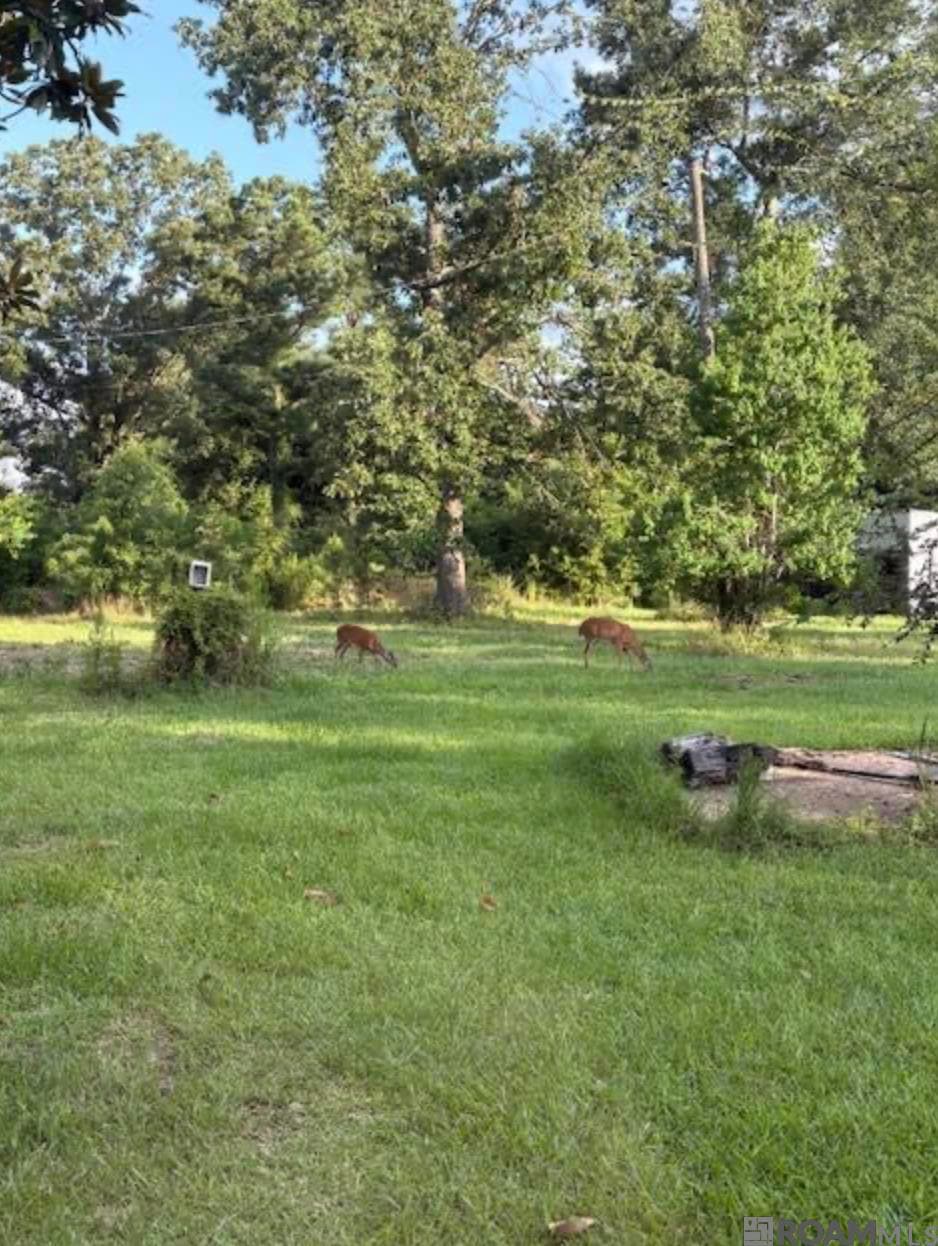 TBD La Hwy 22, Springfield, LA 70462 - photo 1