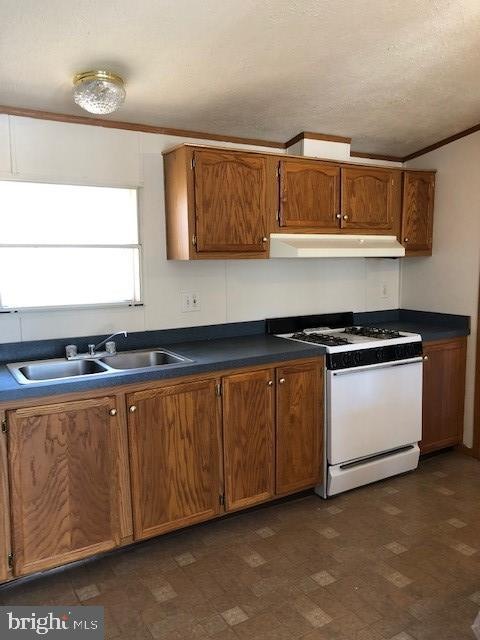 299 James Dr, Glenmoore, PA 19343 - photo 1